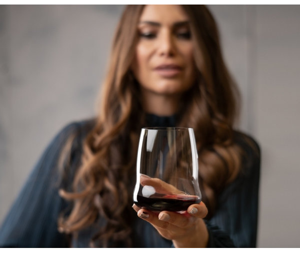 RIEDEL Stemless Wings Wine Glass Wayfair